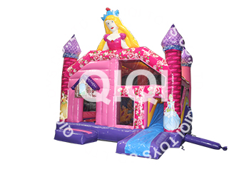 Princess castle with slide 