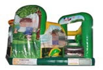 Go Diego Go 5 in 1 jumping house