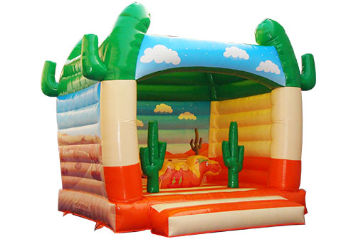 Inflatable Desert Jumping House