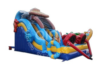 Inflatable beach holiday slide