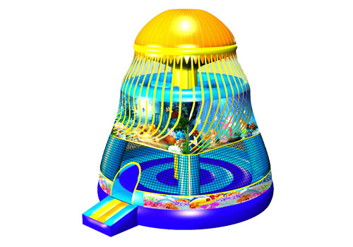 Jellyfish Bouncy House