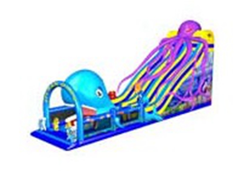 Octopus & Whale Combined Water Slide